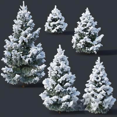现代植物雪松 松树 雪景树 挂雪松树 圣诞树 景观树